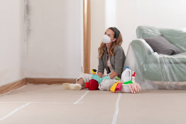 Reliable Mold Removal contractor in South River, NJ by 24 Hour Mold Removal